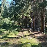 Vakantiehuis Demanova 157 *