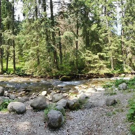 Дом отдыха Demanova 157