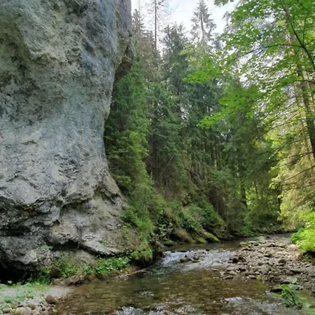 Demanova 157 בית נופש *