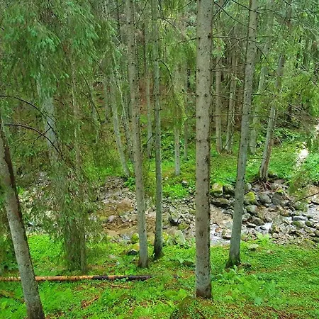 Demanova 157 בית נופש *