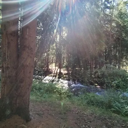 Demanova 157 펜션 *