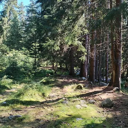 בית נופש Demanova 157 *