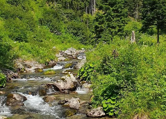 Demanova 157 Liptovský Mikuláš