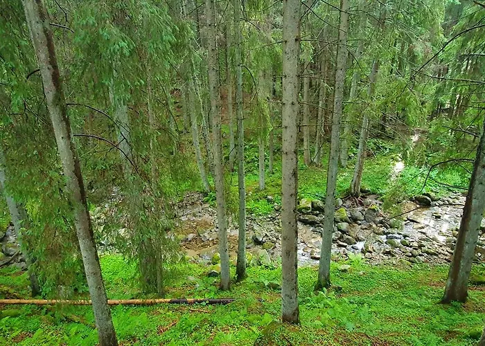 Demanova 157 Semesterbostad *