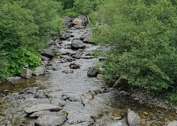 Semesterbostad Demanova 157