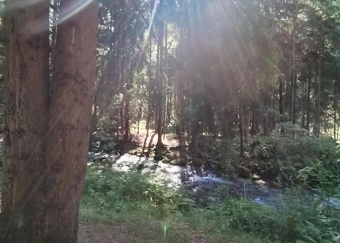 Demanova 157 度假居 *