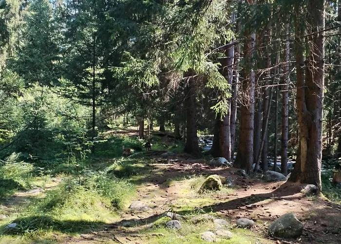 Semesterbostad Demanova 157 *