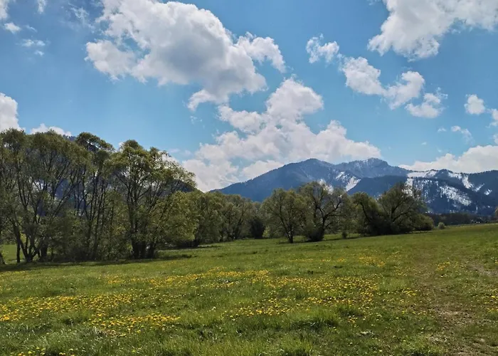 Demanova 157 Semesterbostad *